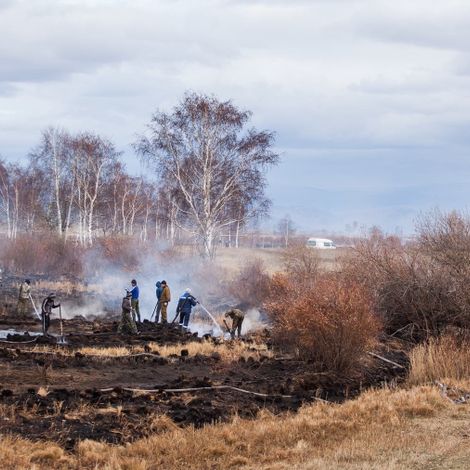 Масштабные тушения торфяников вблизи Закалтуса осенью этого года с участием добровольцев.