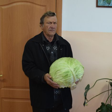 Валерий Черепов из Каменска и его капуста-гигант.